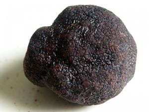 Truffe noire du Perigord