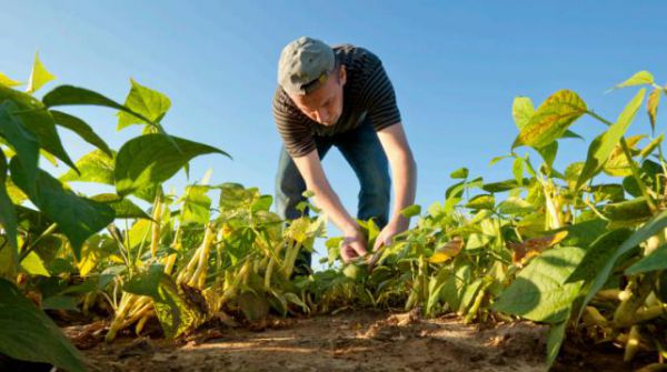 agriculteurs bio