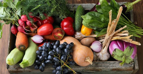 plus nutritifs